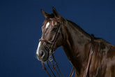 Dy'on US Jumping Collection Flash Noseband Double Bridle